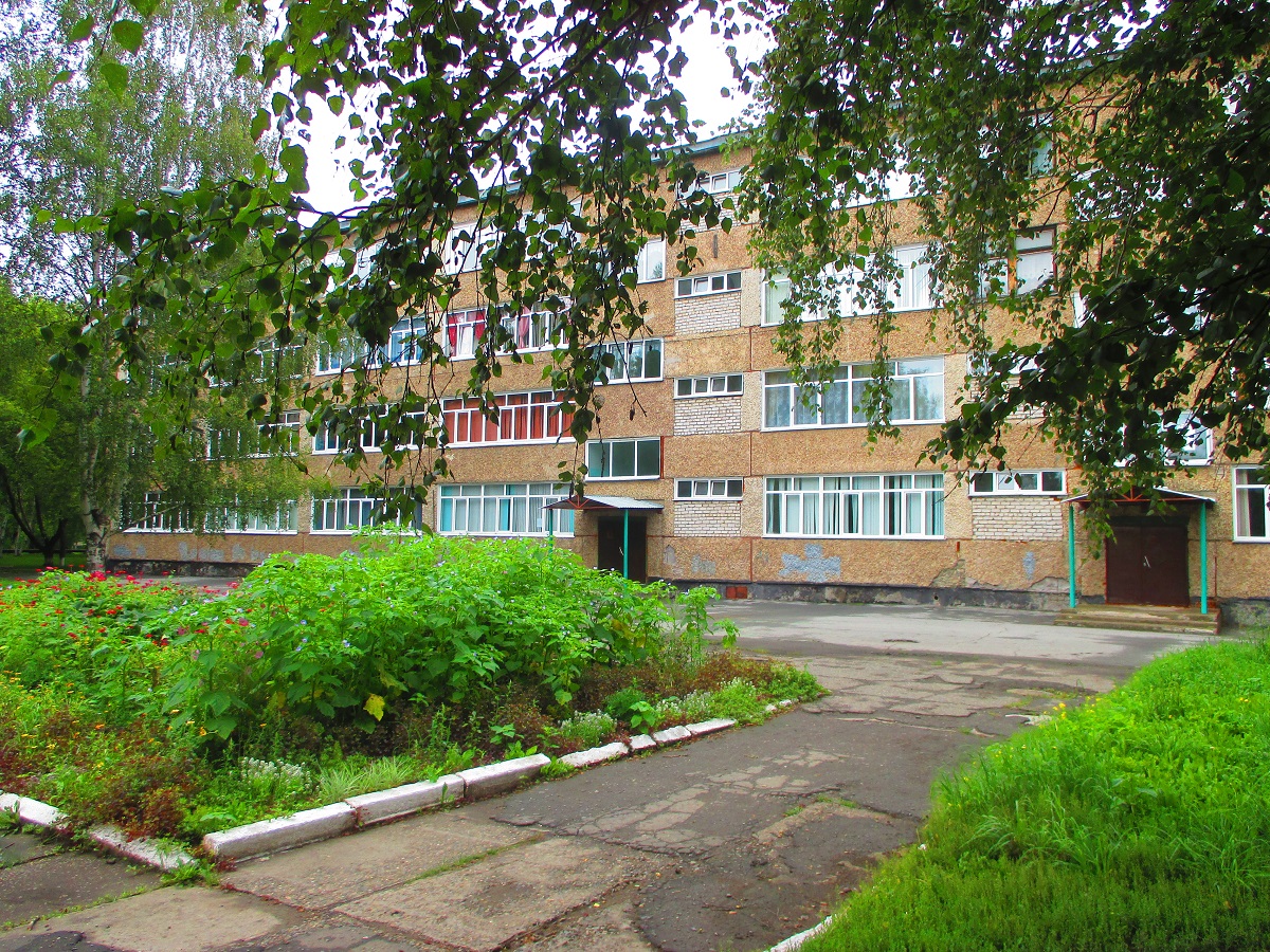 Вид на школу со стороны проспекта Строителей